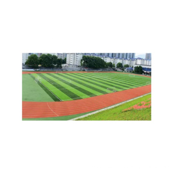 Factory Manufacture Various Green Football Grass Field Lawn No Filling Type